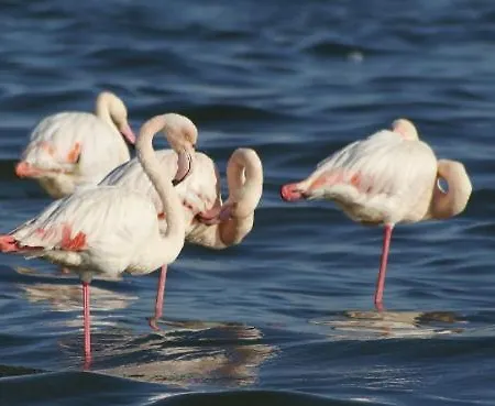 De La Maison Narbonnaise Appartement Narbonne