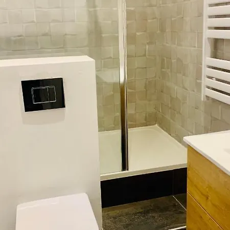 De La Maison Narbonnaise 纳博讷