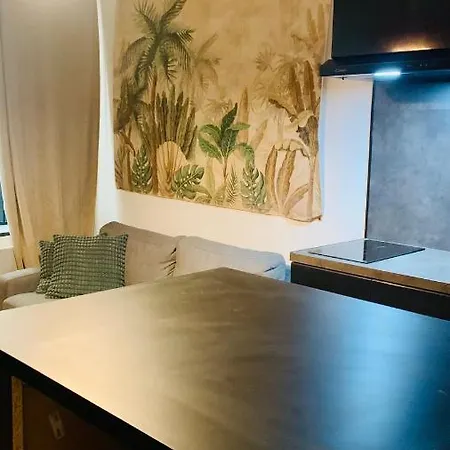 Appartement De La Maison Narbonnaise *