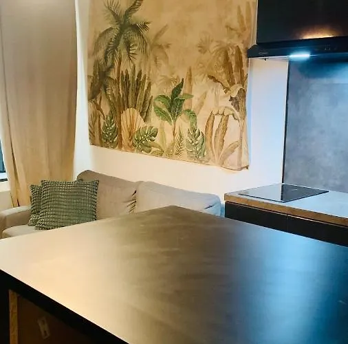 Apartment De La Maison Narbonnaise *